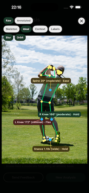 Swing Analysis